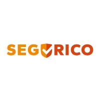 Segurico logo - Similar company to Nowatron Elektronik
