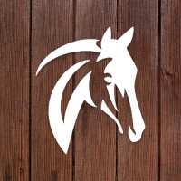 Treibstoff Evolution GmbH logo - Similar company to Aseasyasthat