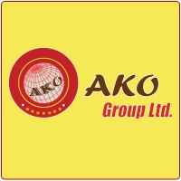 AKO GROUP LIMITED logo - Similar company to Mwidasy Group