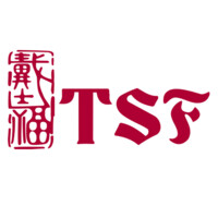 TSF Academy Pte Ltd logo - Similar company to American-Chinese Ceo Society
