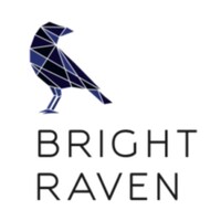 BrightRaven.ai logo - Similar company to Remax Select Group