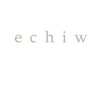 echiw ltd logo - Similar company to Timest Web