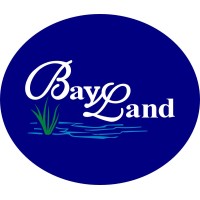 BayLand Consultants & Designers, Inc. logo - Similar company to Amplify
