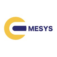 Emesys Software Solutions Pvt Ltd logo - Similar company to Emesys