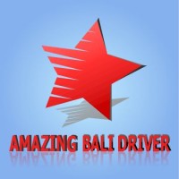 Amazing Bali Driver logo - Similar company to Whm Logística