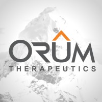 Orum Therapeutics logo - Similar company to Orum International