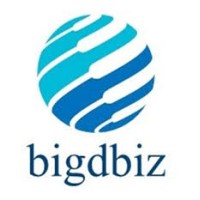 BigdbizSolutions logo - Similar company to Bigdbiz Solutions Pvt Ltd