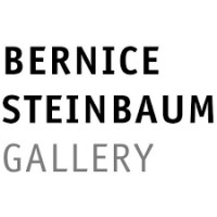 Bernice Steinbaum Gallery logo - Similar company to Klone Lab, Llc