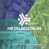 METALNOSTRUM RECYCLING 2016 SL logo - Similar company to Mirada Levante Sl