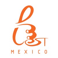 Best Prototypes Mexico logo - Similar company to Techmetric