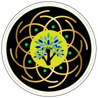 Whole Health Connections logo - Similar company to Connected Whole Health