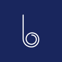 Brghtsense logo - Similar company to Hoogwerf Groep
