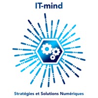 IT-mind logo - Similar company to Sinergence