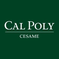 CESAME (Center for Engineering, Science, and Mathematics Education) logo - Similar company to Transforming Post-Secondary Education In Mathematics