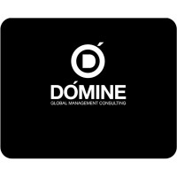 Dómine Group logo - Similar company to Domine