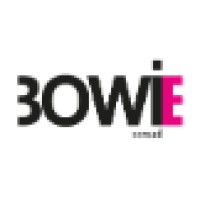 Bowie Conseil logo - Similar company to Blutech