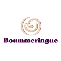 Boummeringue logo - Similar company to Mive Labs