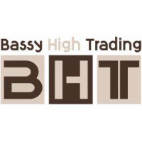 Bassy High Trading logo - Similar company to Future Gate Group