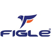 Figle Technologies logo - Similar company to Techb