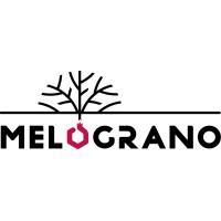 Melograno S.r.l logo - Similar company to C.R.P. Software S.R.L.