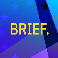 Bruges Research Institute for Europe's Future logo - Similar company to Model Of Economic Institutions