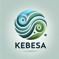 KEBESA logo - Similar company to Accessperts.Com