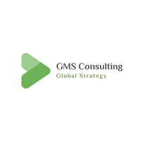GMS Consulting logo - Similar company to Gms Consulting