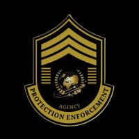 Protection Enforcement Agency LLC logo - Similar company to M4 Security