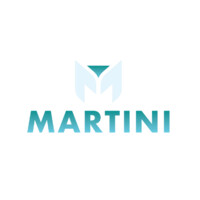 MetaMartini logo - Similar company to Sd Wheel