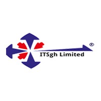 I.T Solvers Ltd logo - Similar company to Nascotech Code Made In Africa