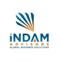 INDAM Advisors logo - Similar company to Think Sigma