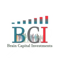 Brain Capital Investments logo - Similar company to Cgx Creative Generated Experience