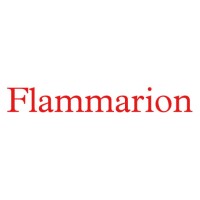 Flammarion International Rights logo - Similar company to Dg Airsoft