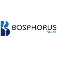Bosphorus Audit Bağımsız Denetim ve Danışmanlık A.Ş. logo - Similar company to Optimum Audit