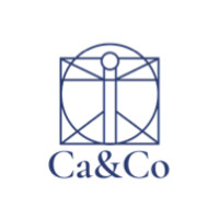 Ca&Co logo - Similar company to The Alison Company