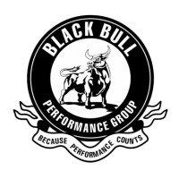 Black Bull Performance Group logo - Similar company to Bricklayr