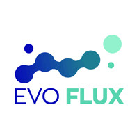 EVOFLUX logo - Similar company to Bts-Cyber-Sio-Fulbert