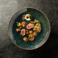 Maison Rollier logo - Similar company to A.E.T.S.I