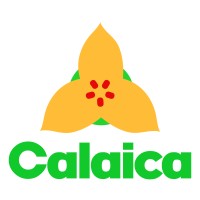 Calaica logo - Similar company to Entangled Space