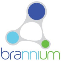 Brannium logo - Similar company to Wippli