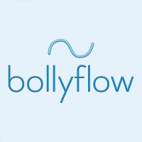bollyflow logo - Similar company to Pro-Accel