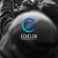 ECHELON RECRUITMENT & CONSULTANCY SERVICES LIMITED logo - Similar company to Dtc Wtf