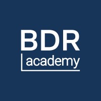 BDR Academy logo - Similar company to Electronics E-Commerce