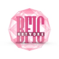 Bfic Network logo - Similar company to Bangladesh Industrial Finance Company Limited (Bifc)