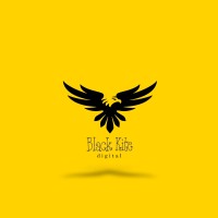 Black Kite Global logo - Similar company to Boltx
