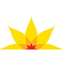 Australian Cervical Cancer Foundation (Accf)