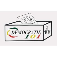 Démocratie 101 Mali logo - Similar company to Facse Consulting