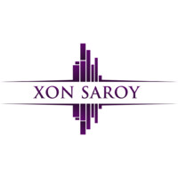 Xon Saroy logo - Similar company to Namuna Development