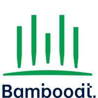 Bamboo Digital Technologies logo - Similar company to Checkpay Technologies Ltd