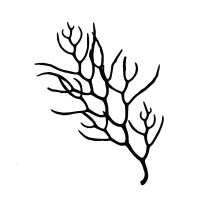 Drift logo - Similar company to Ocnark
